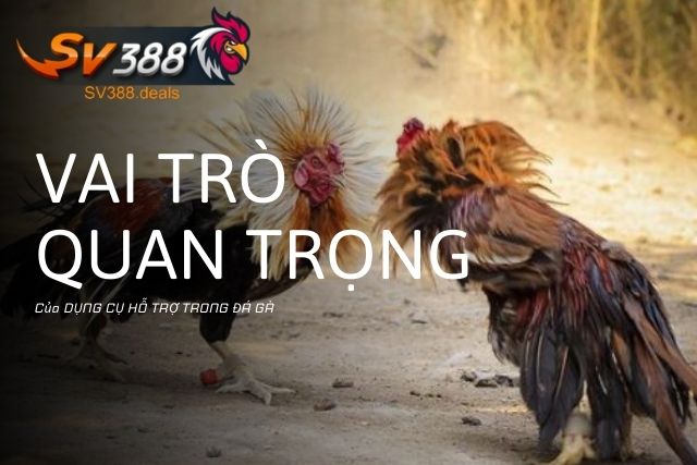 Vai trò quan trọng của các dụng cụ hỗ trợ