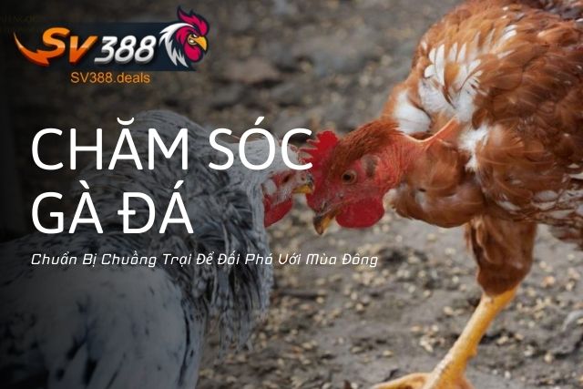 Chuẩn Bị Chuồng Trại Để Đối Phó Với Mùa Đông