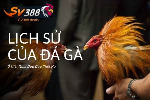Lịch Sử Của Đá Gà Ở Việt Nam Qua Các Thời Kỳ