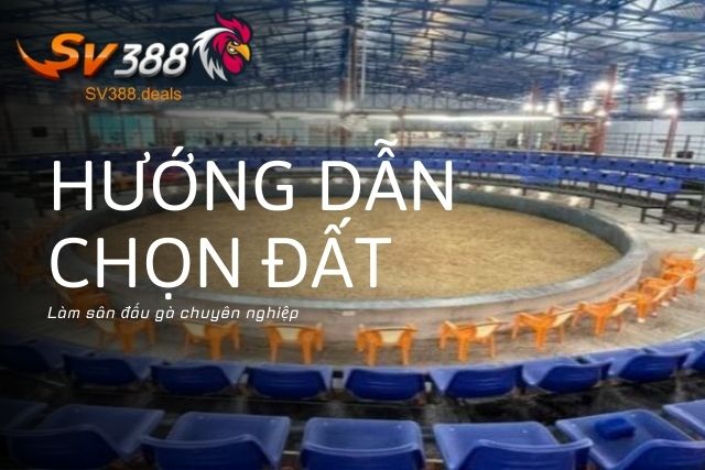 Hướng dẫn chọn đất làm sân đấu gà chuyên nghiệp