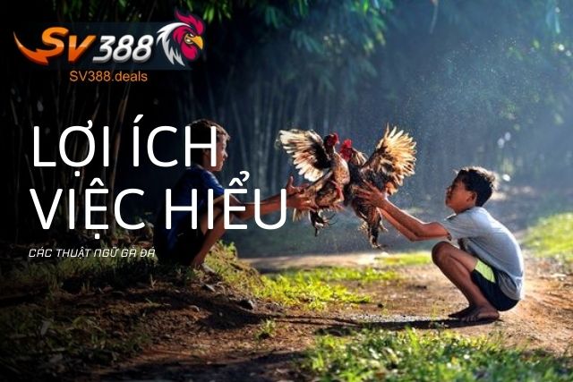 Lợi ích của việc hiểu các thuật ngữ