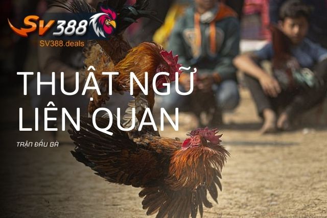 Các thuật ngữ liên quan đến trận đấu